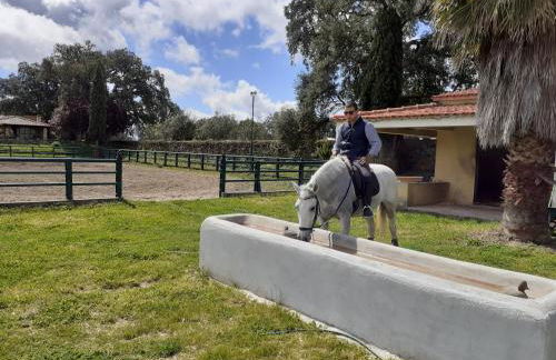 Casa da Vinha - Foto 26