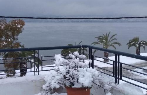 House on the beach - Photo 17