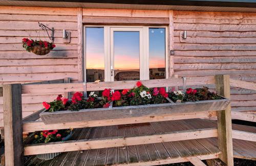 Raygill Shepherds Hut - Foto 22