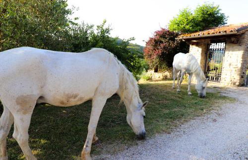 Agriturismo la Tana - Photo 12
