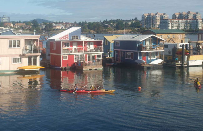 Whale Watching in Victoria - Foto 2