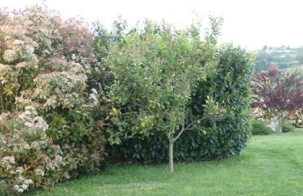 La Casa de Orviz - Foto 31