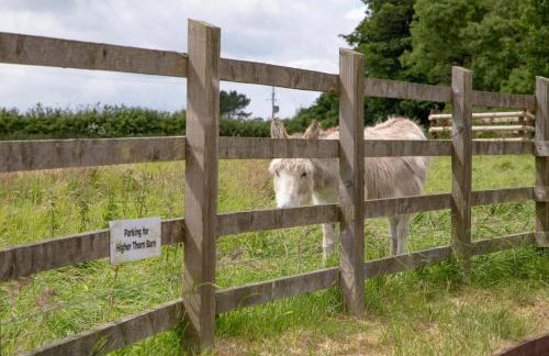 Higher Thorn Barn - Foto 31