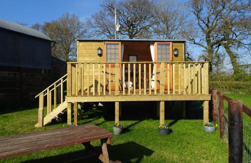 The Lazy Shepherd - Foto 1