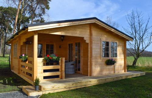 Pinewood Cabin - Foto 4