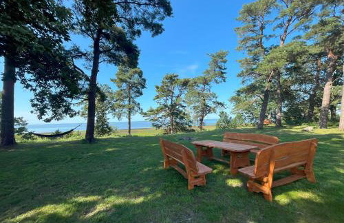 Domki na Skarpie - Wypoczynek z widokiem na Zalew - Frombork - Foto 41
