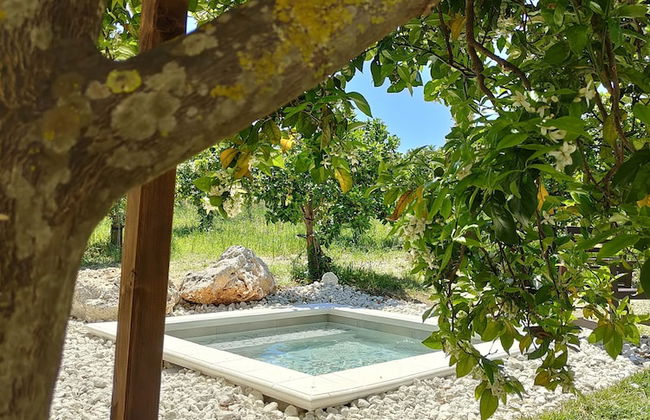 AgriBarocco - Photo 32