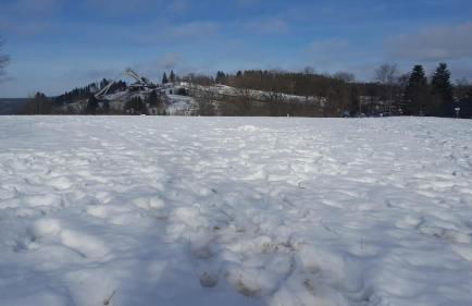 Ferienwohnung Zeitlos, gigantischer Seeblick, WLAN, gerne mit Hund - Foto 28