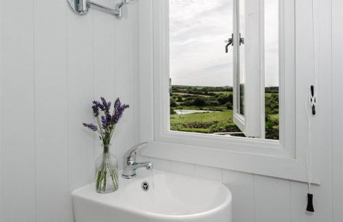 Shepherds Hut at Chenhall Farm - Photo 40