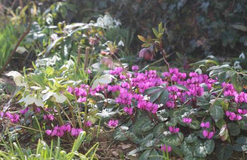 Maison Mille Fleurs - Foto 30