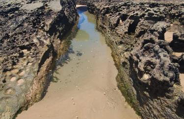 Chalé Beira-Mar com Piscina Privativa e Varanda em Barra do Jacuípe - Foto 59