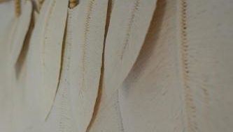 Apartamentos Ses Veles - Foto 5