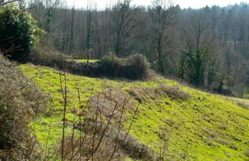 Cottage in Dordogne with Accessible Terrace - Foto 30