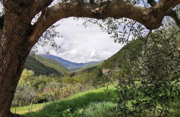 Place to be - Foto 26