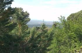 Casa rural El refugi platja d'aro 4 - Foto 47