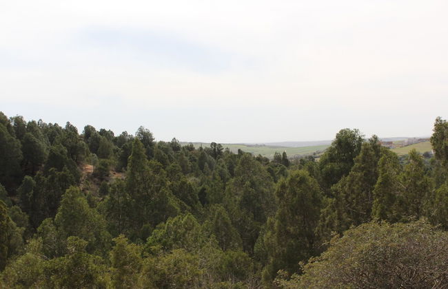 Villa in the Mountains Hammamet - Foto 45