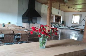 Siedlisko na łące - Foto 16