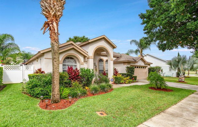 Orange Tree Executive Gameroom - Foto 14