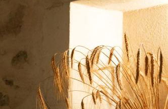 Mas de Thésée Piscine & 12 ha privés - Foto 23