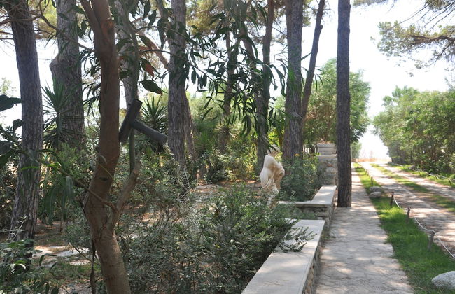 Villaggio Borgo degli Ulivi - Photo 46