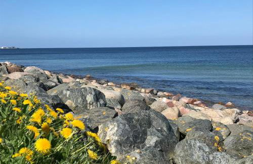 Strandläufer - Foto 32