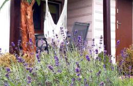 Domek KRAJNO ŚWIETA KATARZYNA - Foto 6