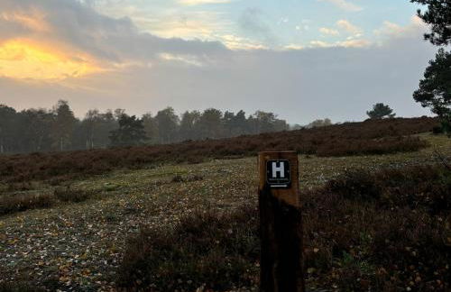 Lütt Heidjer Hus 5 Sterne DTV - Foto 42