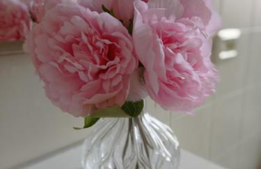 HOUSE PIAZZA VITTORIA - Photo 10