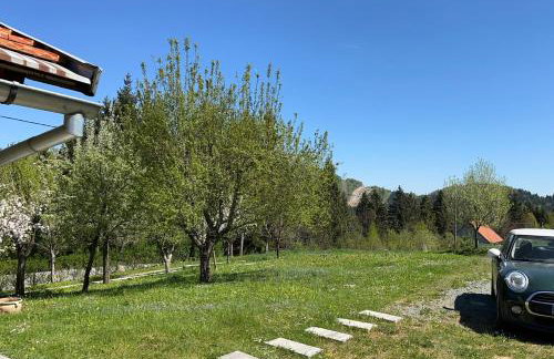 Green House kuća s 4 spavaće sobe - Foto 15