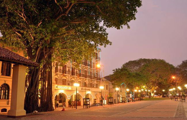 Découvrez Colombo City - Visite Privée - Photo 6