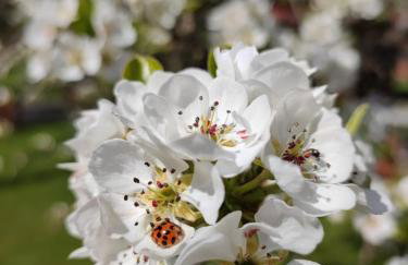 Dom dla dwojga w Starym Młynie w Brzeźnicy - Foto 37