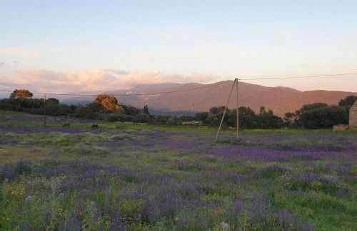 mini villa 72, résidence avec piscine. - Foto 37