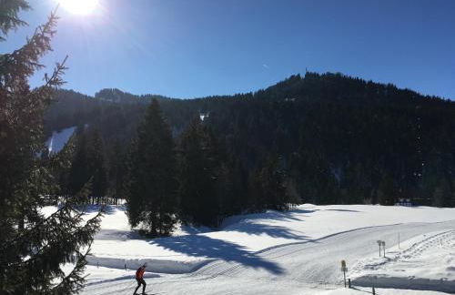 Ferienhof Wäldle - Wäldle 1 und Wäldle 2 mit Motorradvermietung - Photo 16
