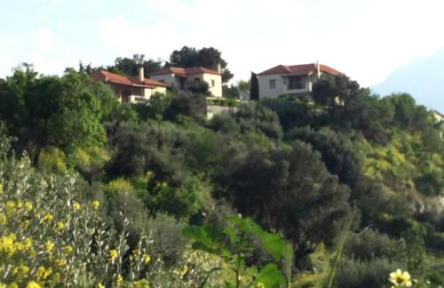 Crete Family Villas - Foto 22