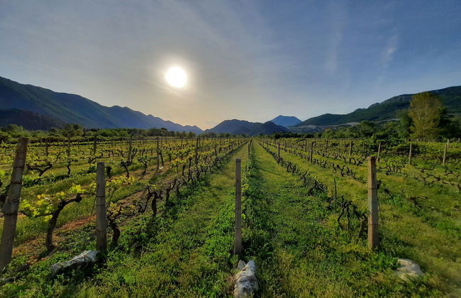 Villa Kikiza - Foto 31