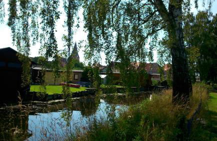 Neukalener Stadthaus Zum Alten Schmied - Foto 6