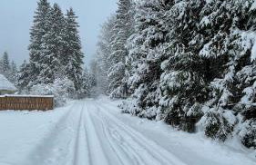 LoveLas - Apartamenty - Photo 64