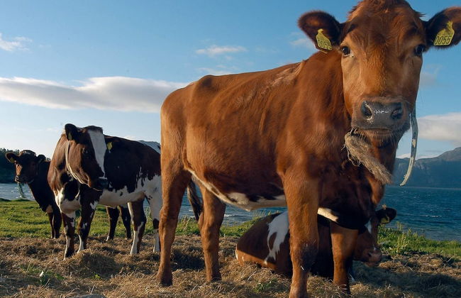 5 Person Holiday Home in Engavagen-by Traum - Foto 9