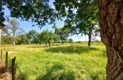 La Boutruchère - Photo 31