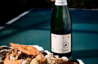 Domaine - Vignoble - Jacuzzi - Sauna - 14 à 18 pers - Foto 41