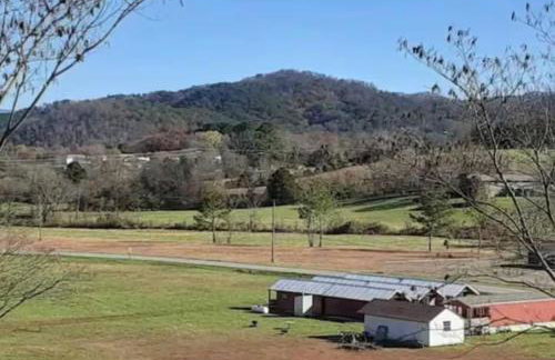 Tellico Nature Cabin - Close to Skyway & Rivers - Foto 18