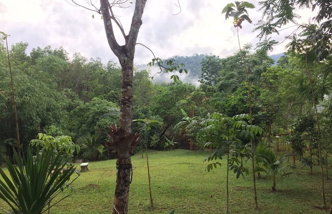 Baansuan Suksangob Farm Stay - Photo 45