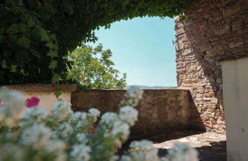 Al Podere del Nonno Romolo - Photo 45