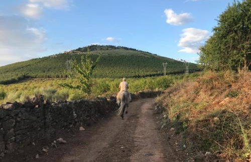 Villa Martins - Foto 31