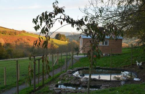 Snug Oak Hut with a view on a Welsh Hill Farm - Photo 9