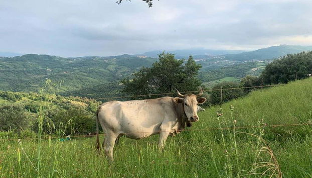 La nature de Prignano Cilento