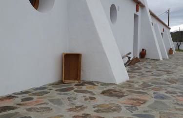 Natur Amêndoa - Foto 58