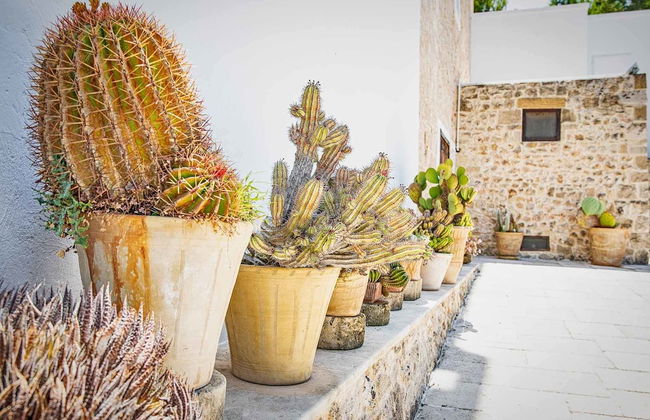 Torre Casciani - Foto 75