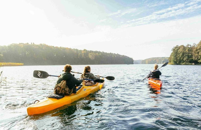 Ferienanlage im Mueritz-nationalpark in Mirow - Photo 22