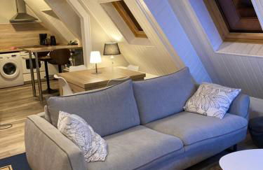 Joli 2 pièces, avec climatisation et grande terrasse, vue sur les toits, zone piétonne - Photo 10